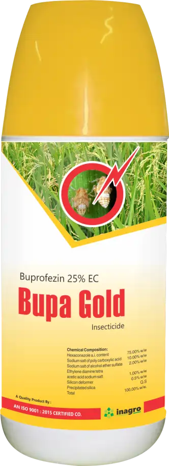 Bupa Gold